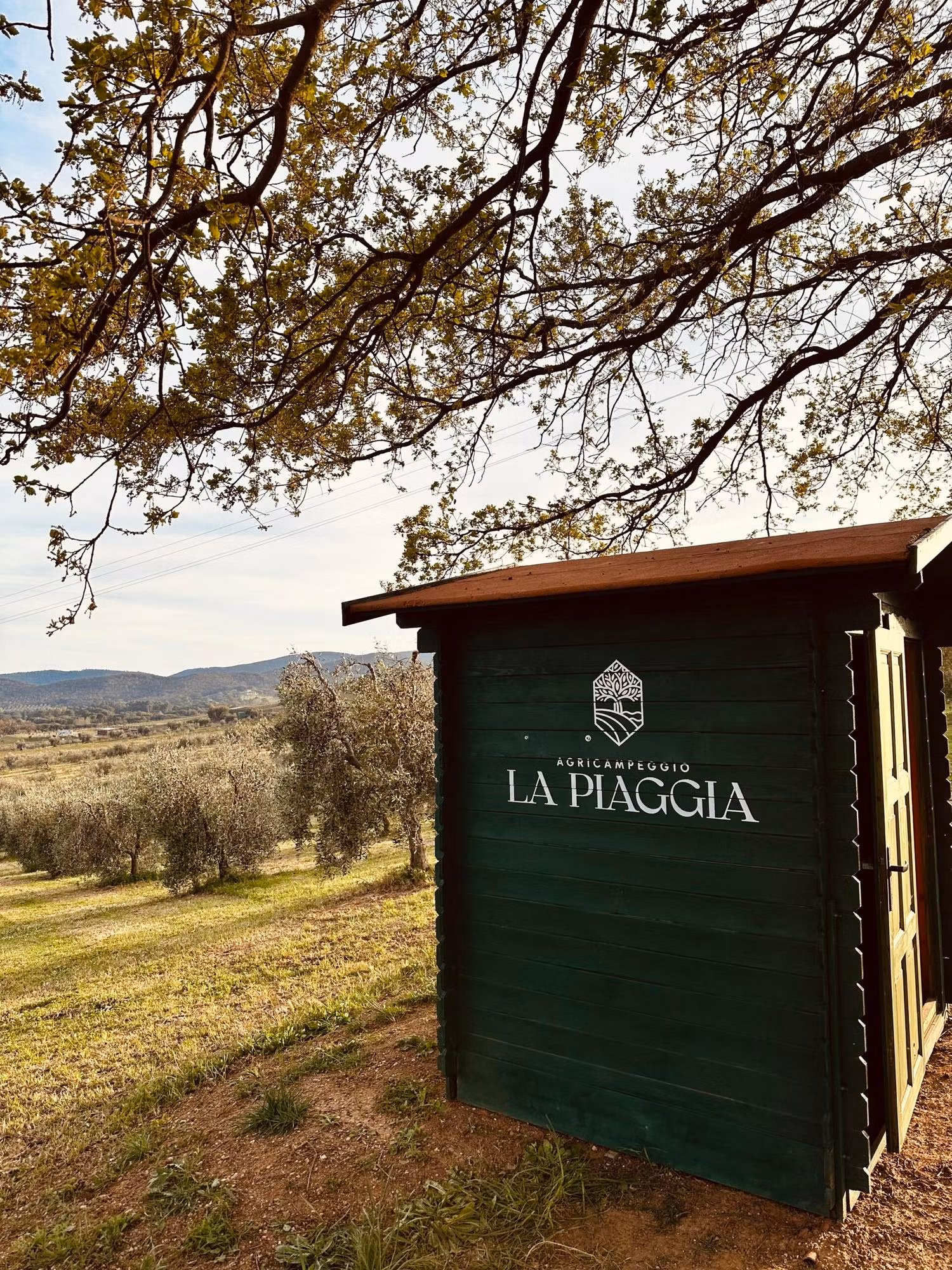 Agricampeggio La Piaggia