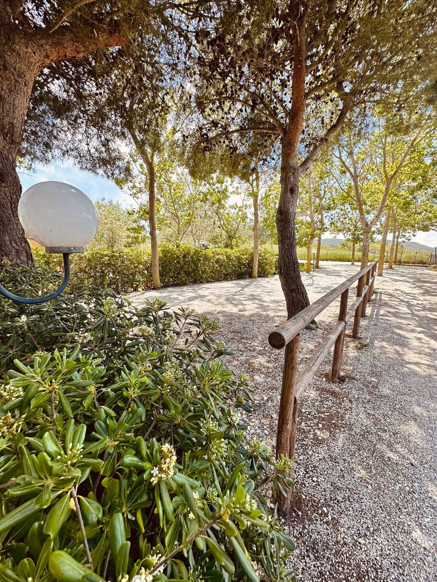 Agricampeggio La Piaggia